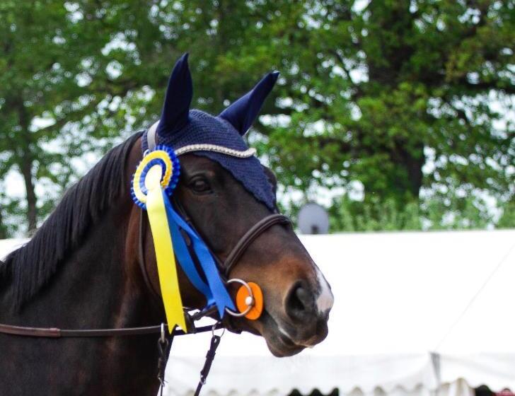 بنسيون J A Ranch Bed & Breakfast