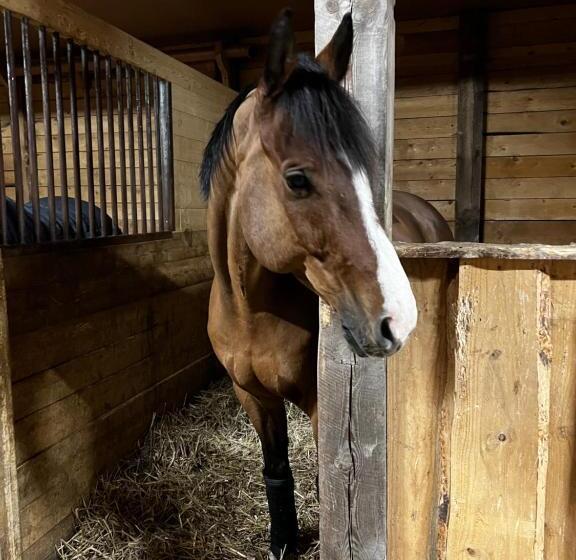 بنسيون J A Ranch Bed & Breakfast