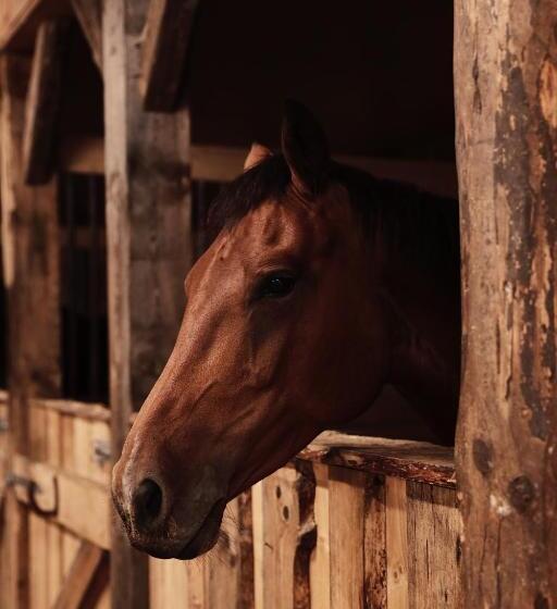 بنسيون J A Ranch Bed & Breakfast