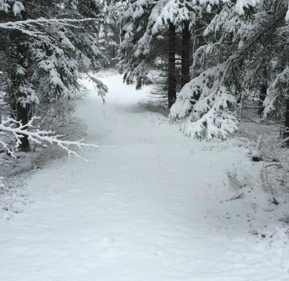 بنسيون J A Ranch Bed & Breakfast