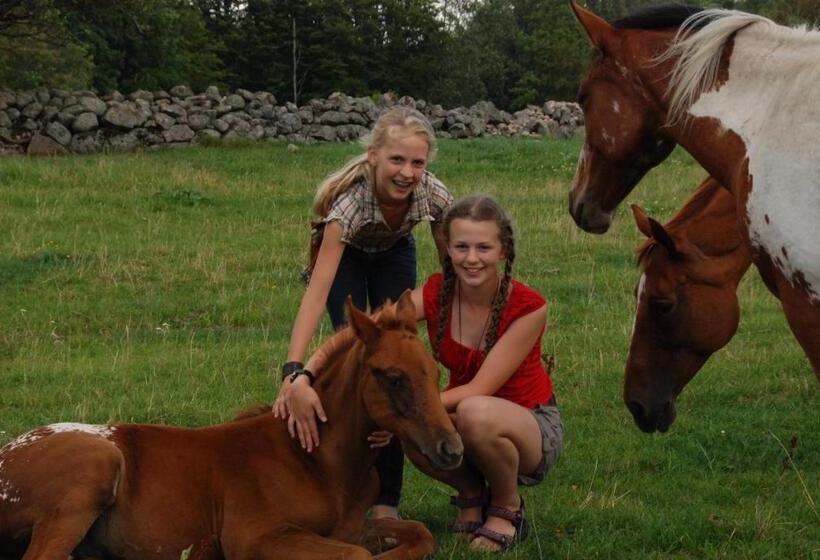 بنسيون J A Ranch Bed & Breakfast