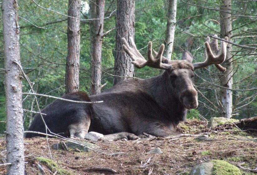 بنسيون J A Ranch Bed & Breakfast