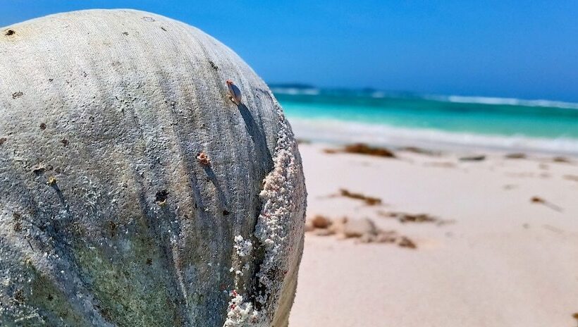 بنسيون Loedi Bungalows Rote