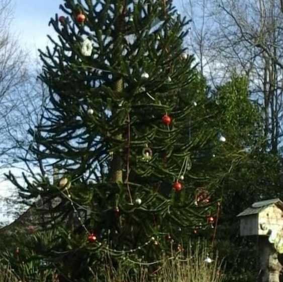 펜션 Maison D Hôtes La Lavandière