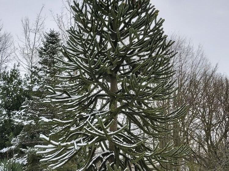 펜션 Maison D Hôtes La Lavandière