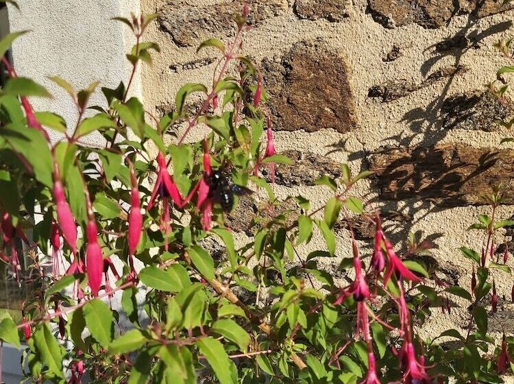 펜션 Maison D Hôtes La Lavandière