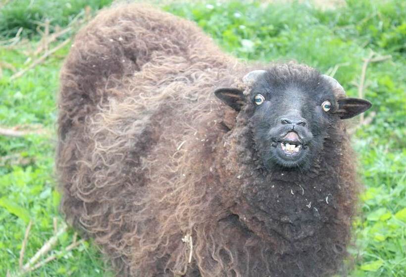 펜션 Maison D Hôtes La Lavandière