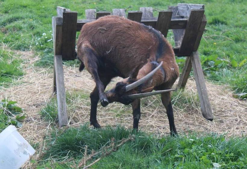 펜션 Maison D Hôtes La Lavandière