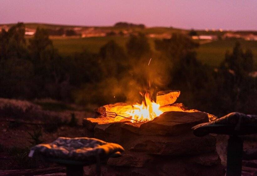 بنسيون Melkboomsdrift Guest House & Conference Centre