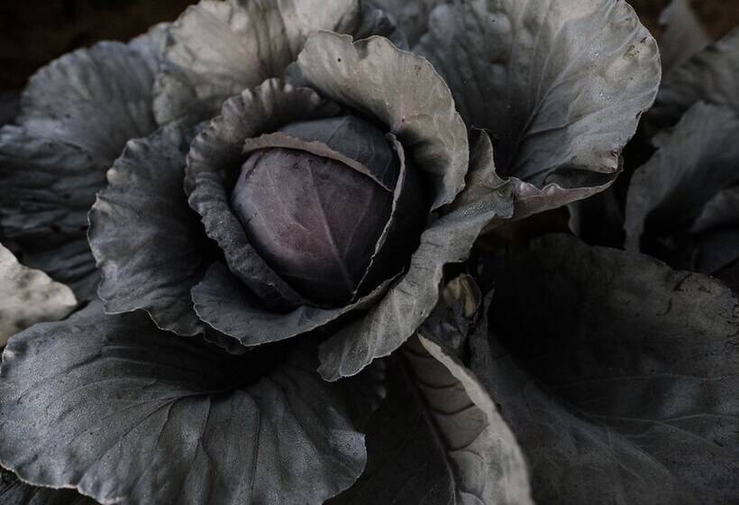 פנסיון Moonfra