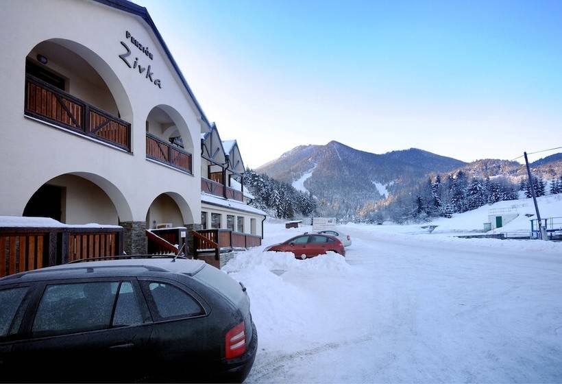 Пансион Penzion Zivka