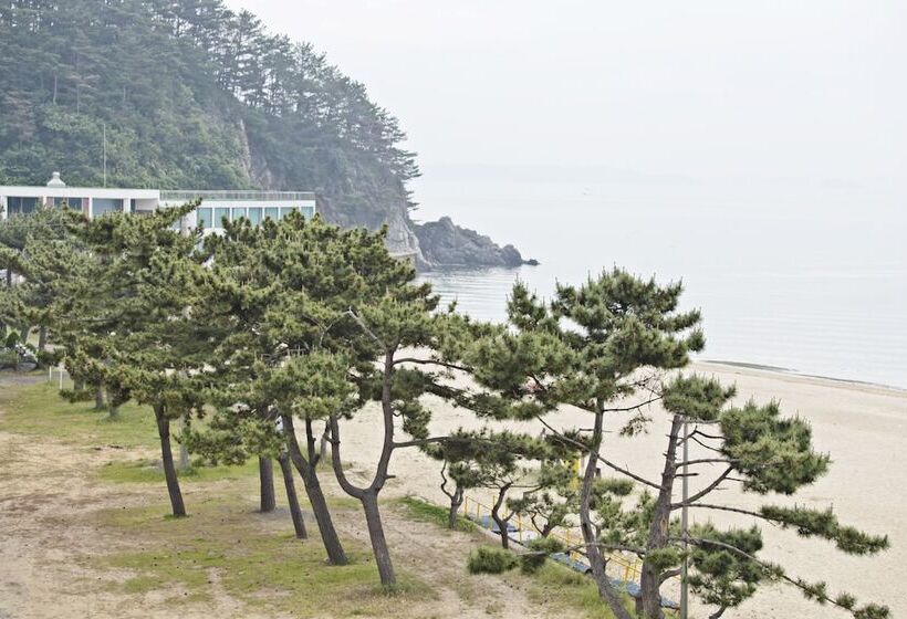 Pensão Solsum House