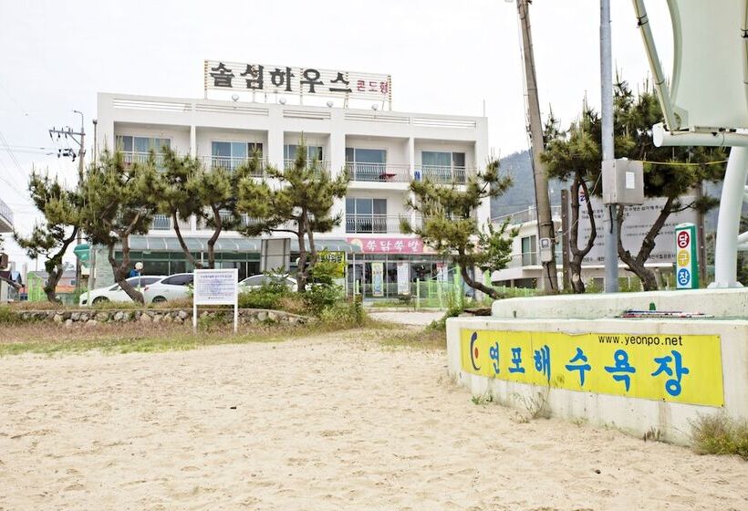 Pensão Solsum House