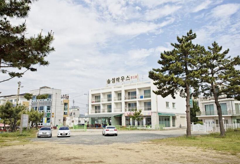 Pensão Solsum House