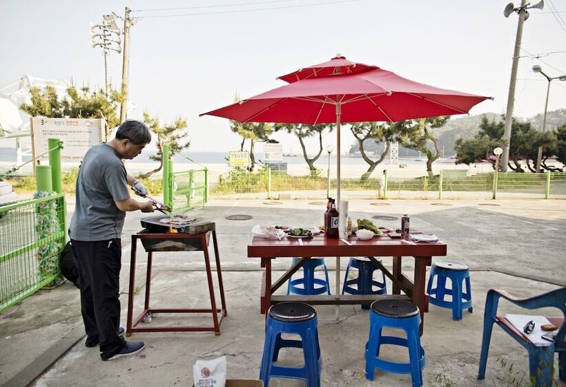 Pensão Solsum House