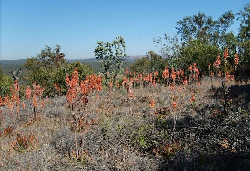 ペンション Thirsty Falls Cc