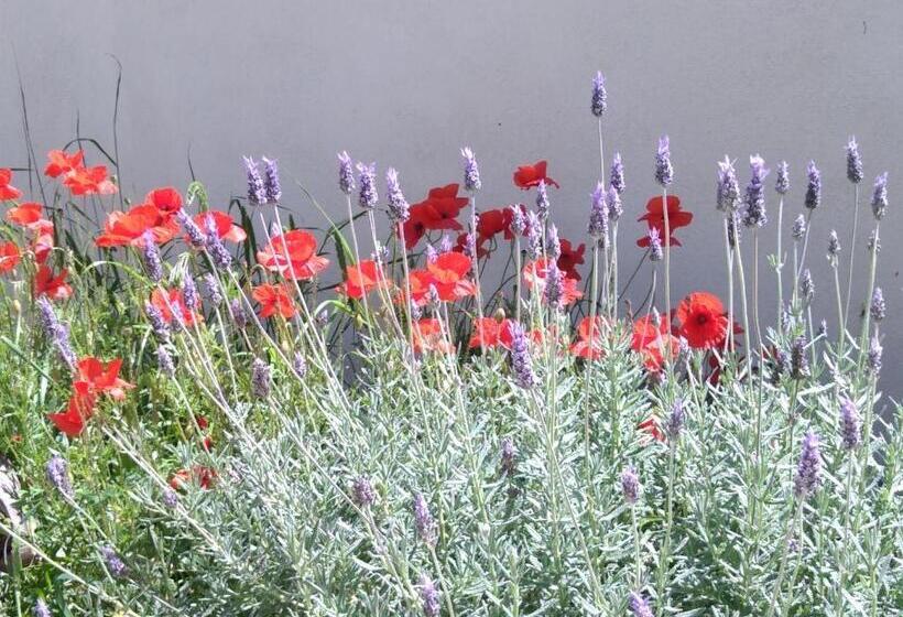 Пансион Villa Le Clos Fleuri