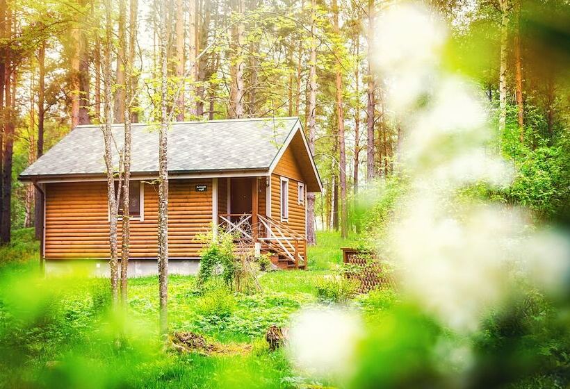 渡假胜地  Baza Otdykha Rybachiy Bereg