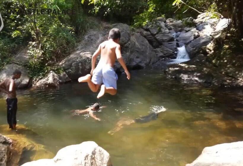 리조트 Castle Palace Kandy