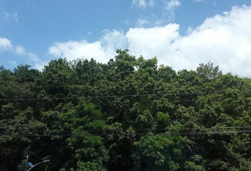 Saipan Motel With Sea View