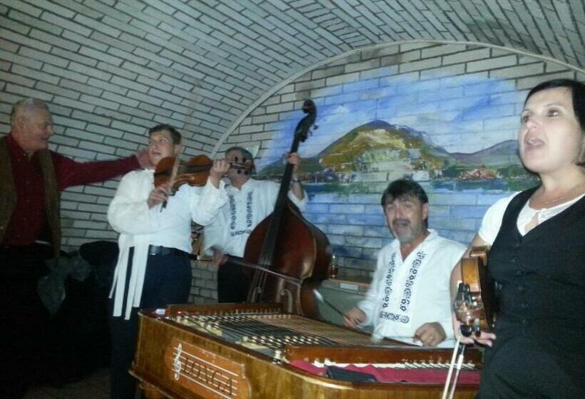 פנסיון Rodinný Wellness Hotel U Langrů