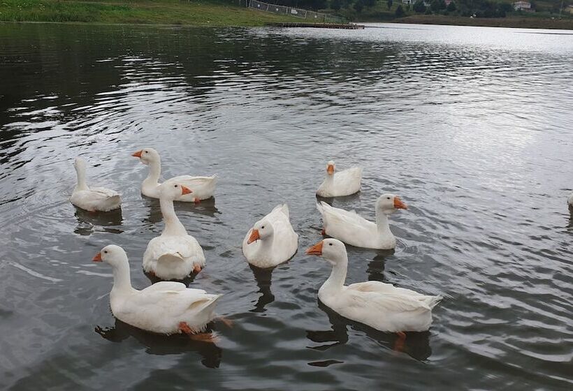Yildiz Tepe Otel & Pansiyon