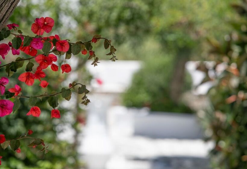 Acrogiali Beachfront Hotel Mykonos