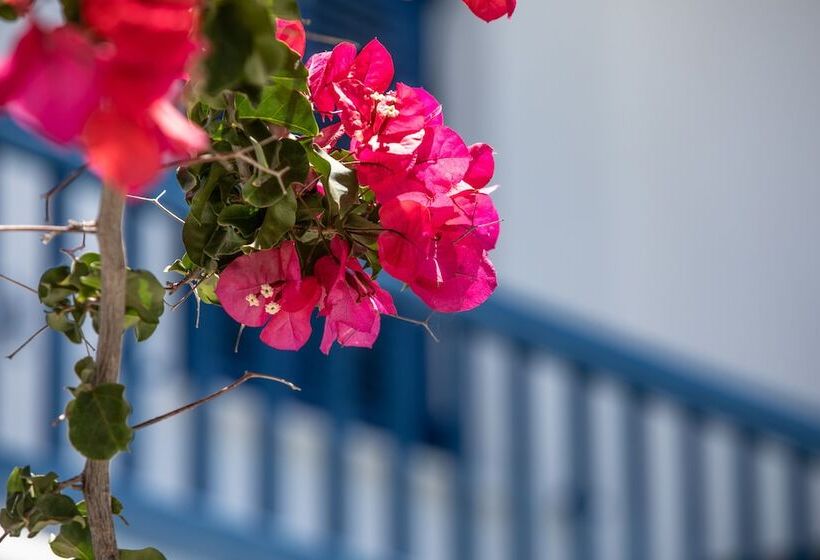 Acrogiali Beachfront Hotel Mykonos