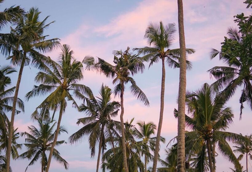 酒店 Alila Manggis