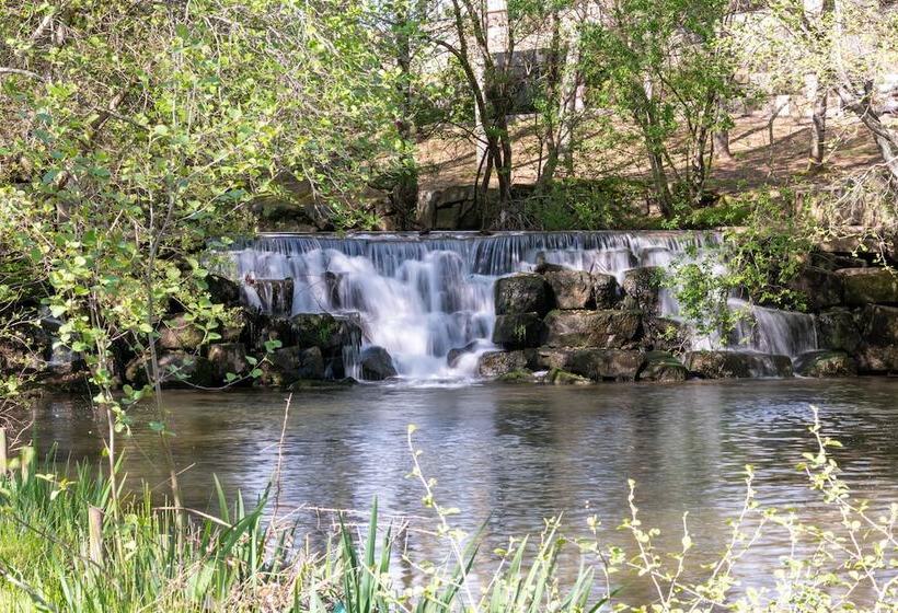 Отель A.s. Sao Joao Da Madeira