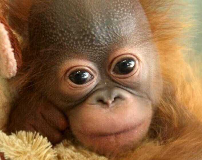 Отель At Old Town