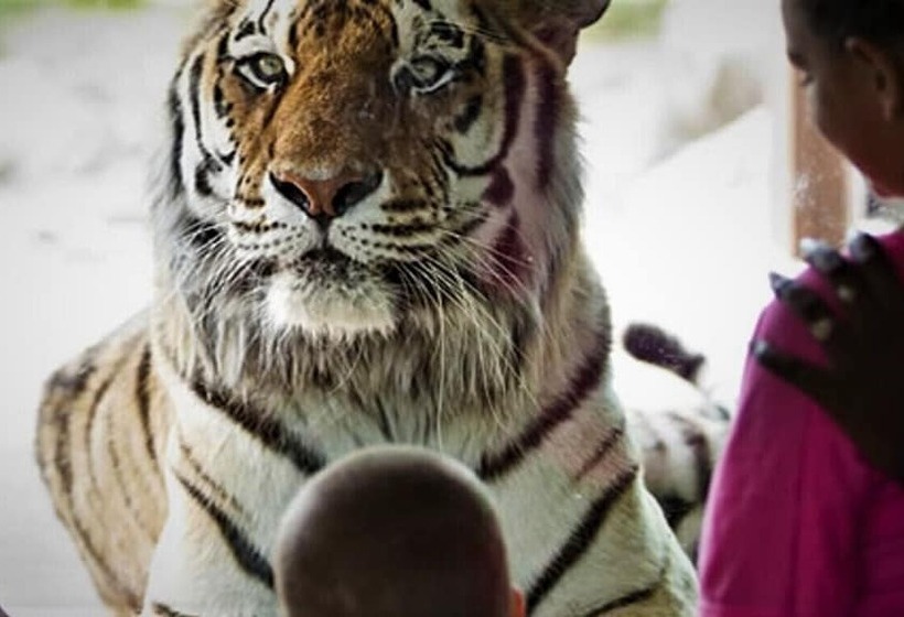 Отель At Old Town