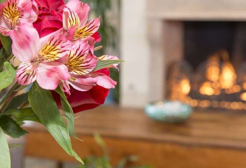 Ayres Hotel Laguna Woods   Aliso Viejo