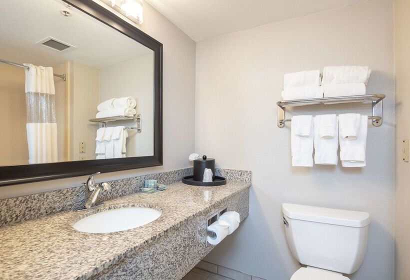 Отель Best Western Inn & Suites San Mateo   San Francisco Airport