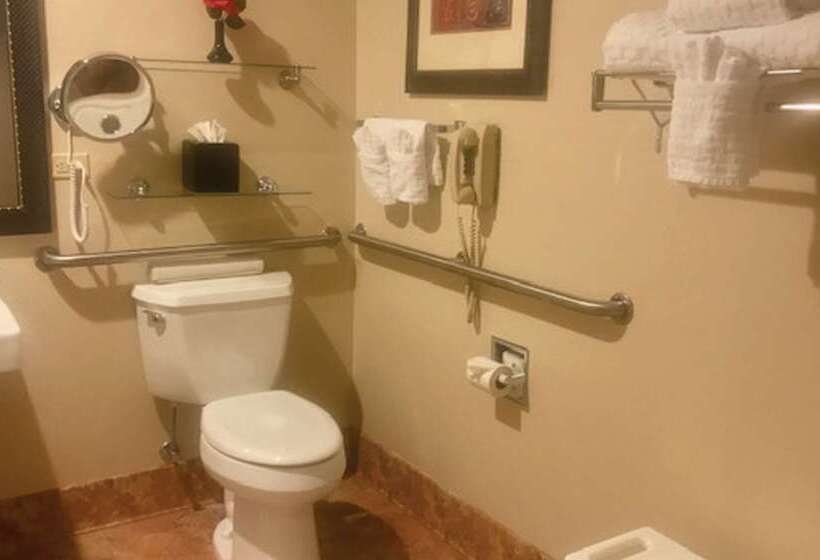 Best Western Plus Deer Park Hotel And Suites