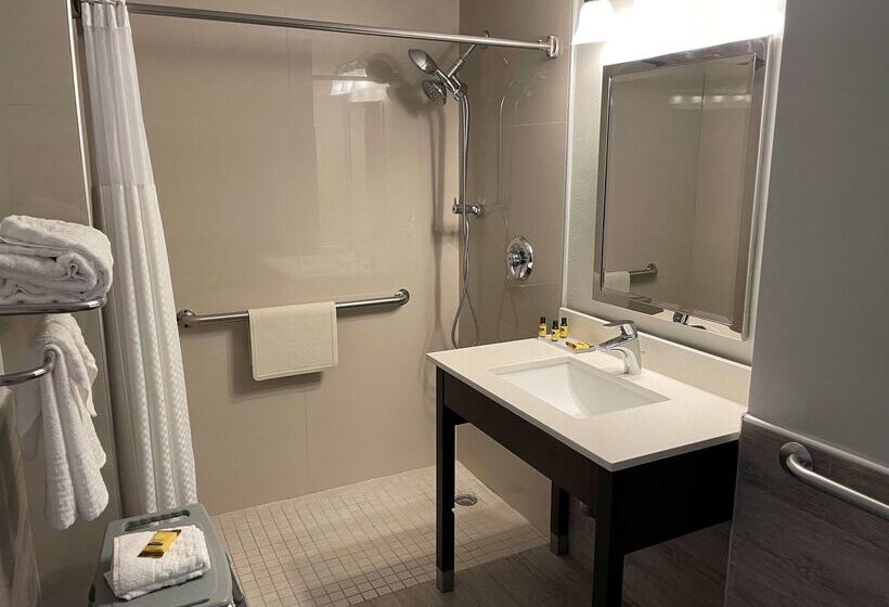 هتل Best Western Plus Mcallen Airport