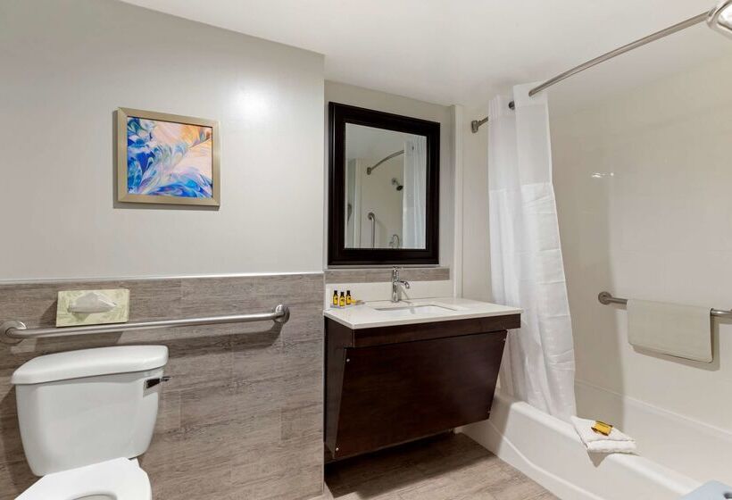 هتل Best Western Plus Mcallen Airport