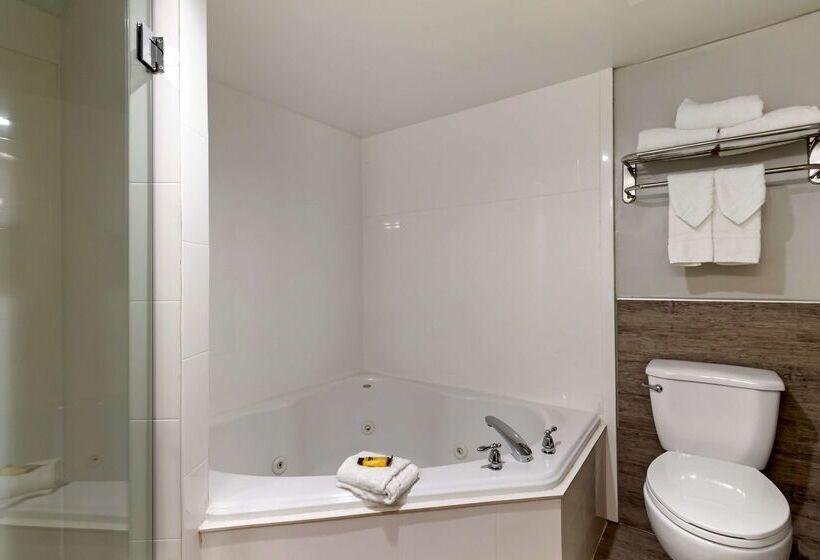 فندق Best Western Plus Mcallen Airport