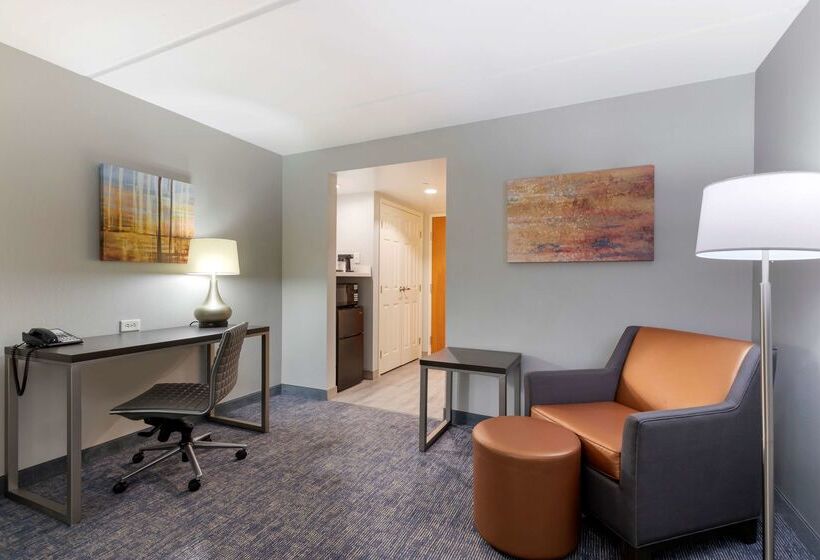 هتل Best Western Plus Mcallen Airport