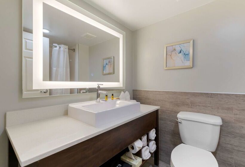 فندق Best Western Plus Mcallen Airport