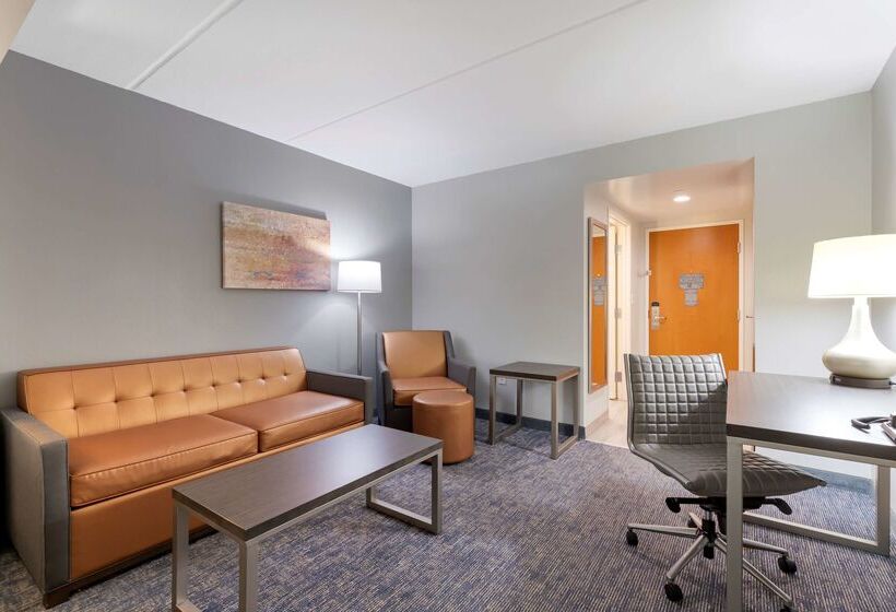 فندق Best Western Plus Mcallen Airport