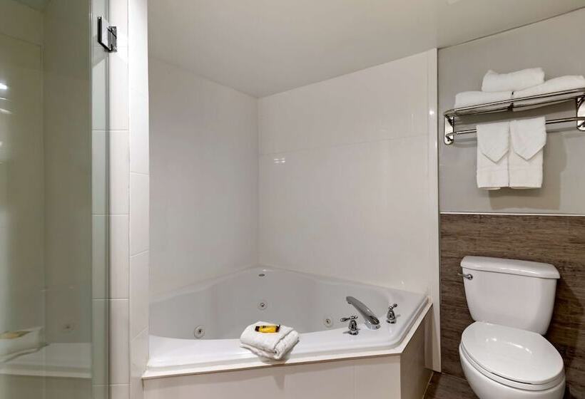 فندق Best Western Plus Mcallen Airport