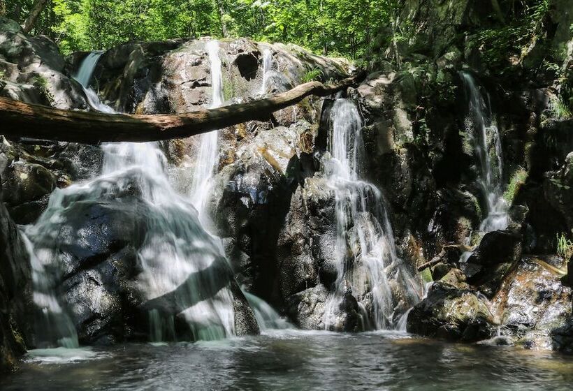 ホテル Big Meadows Lodge