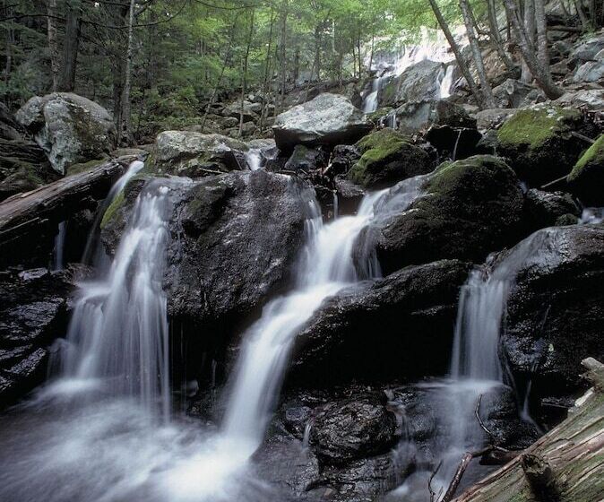 Отель Big Meadows Lodge