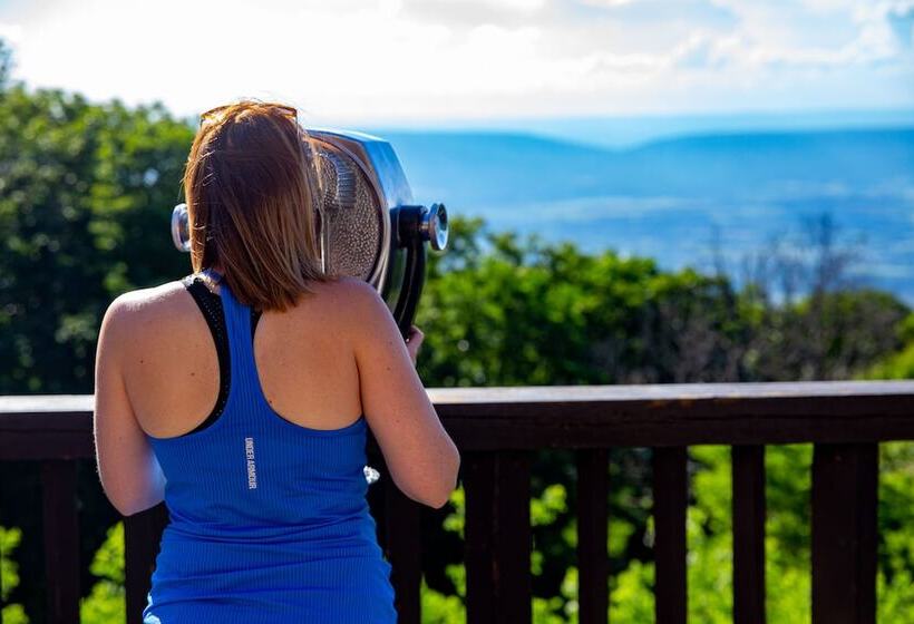 Отель Big Meadows Lodge