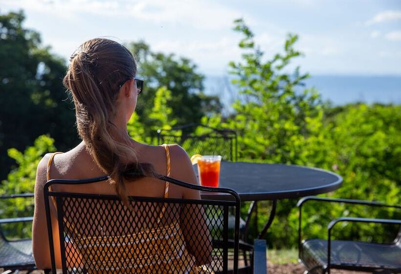 Отель Big Meadows Lodge