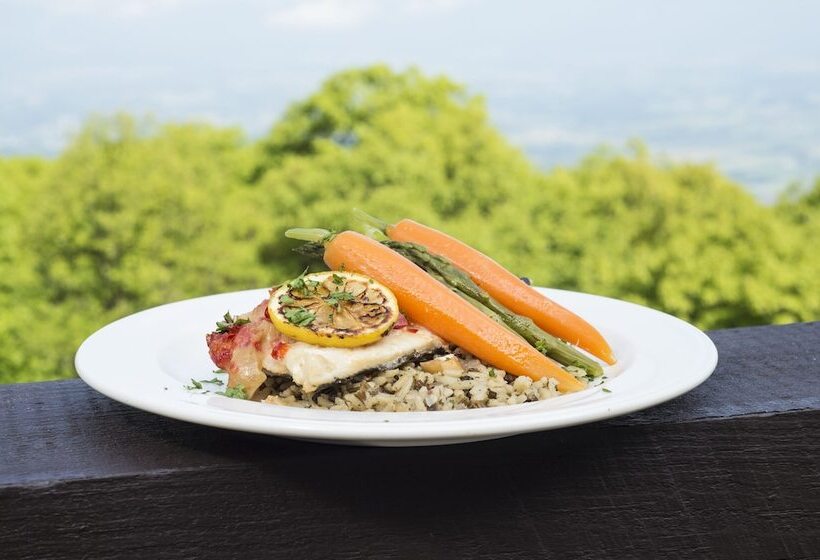 Отель Big Meadows Lodge