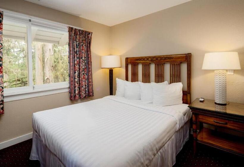 هتل Butterfly Grove Inn