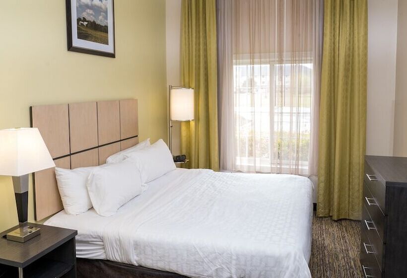 ホテル Candlewood Suites Saint Joseph   Benton Harbor, An Ihg