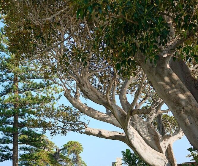 בית מלון כפרי Cap Estel